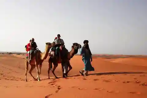From Fes: 2-Day Luxury Desert Tour to Marrakech & Back Fez