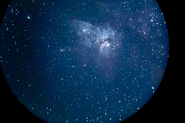 Perth: Pinnacles Stargazing, Sandboarding & Beach Kangaroos