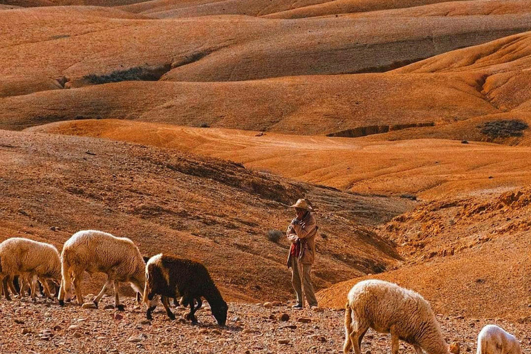 Marrakesh: Pôr do sol no deserto de Agafay, passeio de camelo, jantar e show