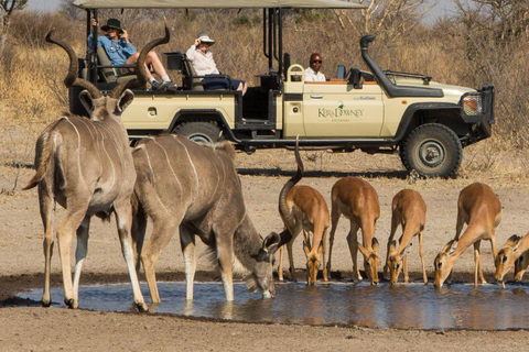 Victoria Falls: Chobe National Park Day Trip with Lunch