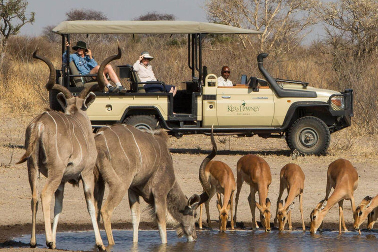 Victoria Falls: Chobe National Park Day Trip with Lunch