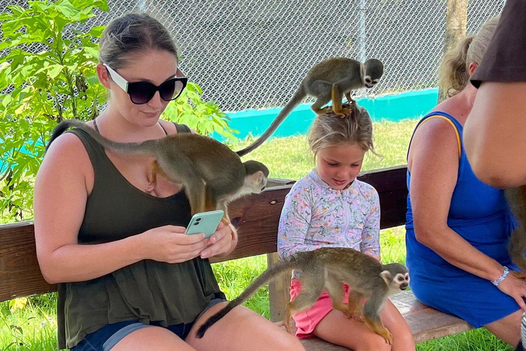 Puerto Plata: Saimiri Monkey Sanctuary, Exotic Flora, and Tropical Oasis