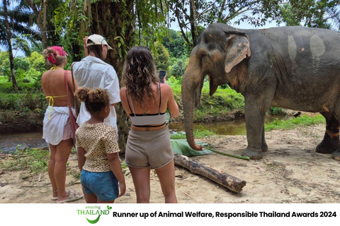Khao Lak: Guided Tour to Elephant Sanctuary & Hotel Transfer