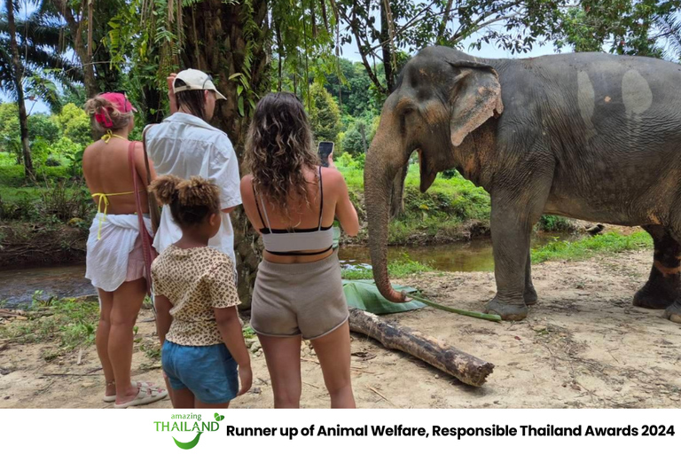 Khao Lak: Guided Tour to Elephant Sanctuary & Hotel Transfer