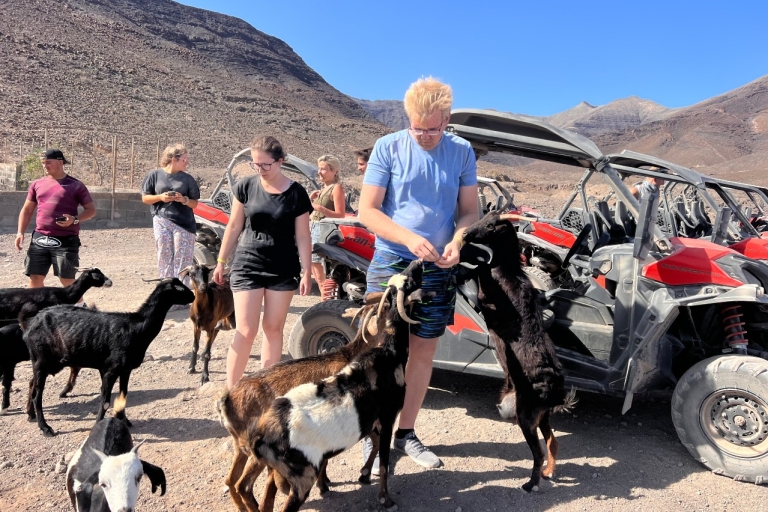 Fuerteventura : Excursión en buggy por el sur de la islaCochecito para 2 personas