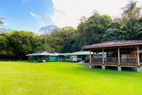Uvita: Corcovado National Park Guided Hike with Lunch