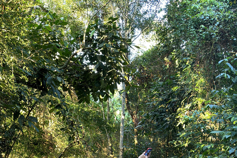 Birdwatching Tour At Poço Preto Trail