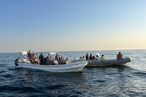 The Rio´s Ultimate Whale Whatching Experience THE RIO´S ULTIMATE WHALE WHATCHING
