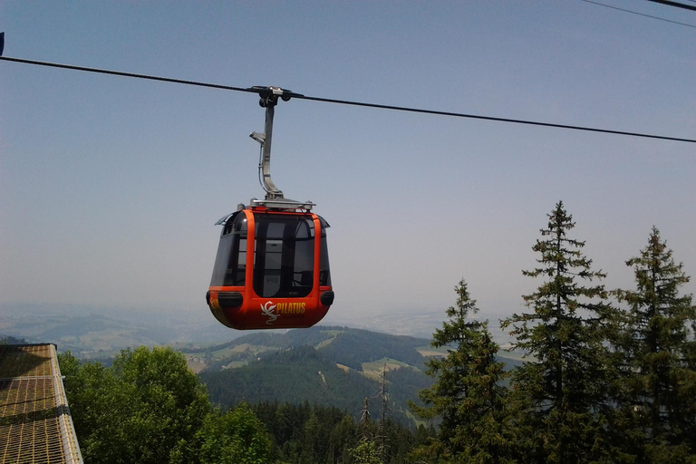 Winter Panorama Mount Pilatus: Small Group Tour from Basel Pilatus (Winter) small group tour from Basel