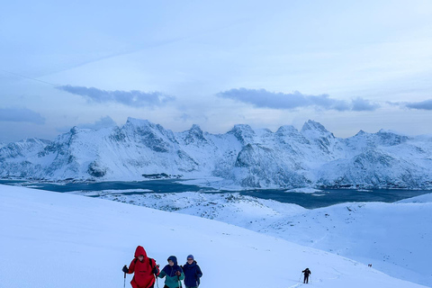 Reine: Winter Snowshoe Hike to Ryten – With Local Guide