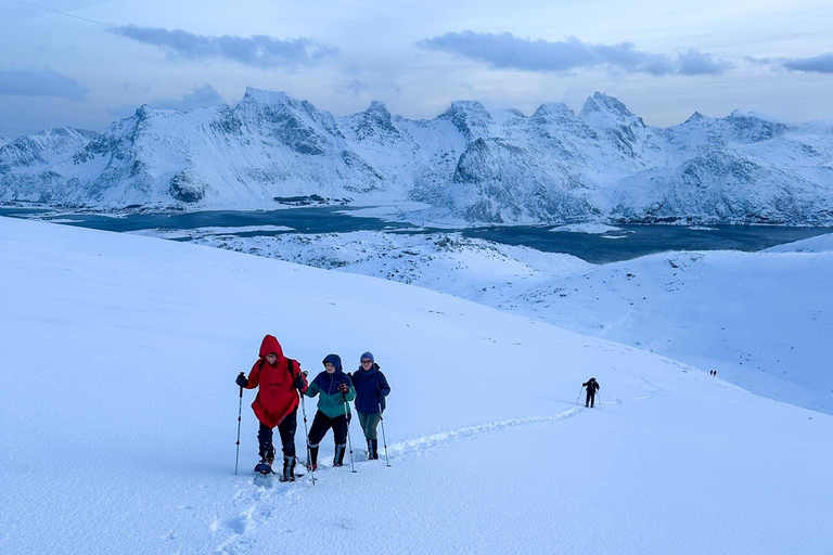 Reine: Winter Snowshoe Hike to Ryten – With Local Guide