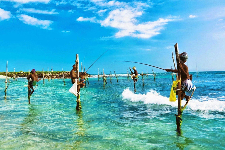 8 Tage Rundreise durch die wunderschöne Natur Sri Lankas