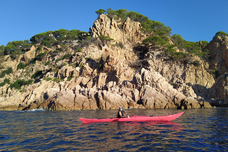 Girona: Morning Guided Kayak Tour Matutina Kayak