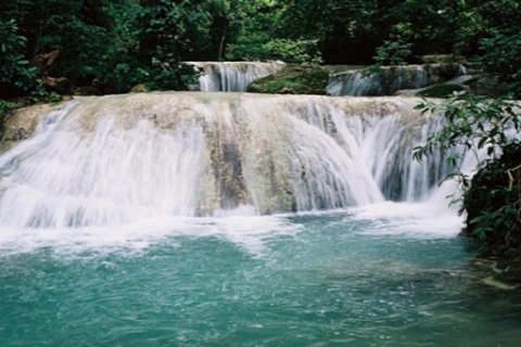 Vanuatu: Sky Bridge, Coffee Factory, & Mele Cascades Tour