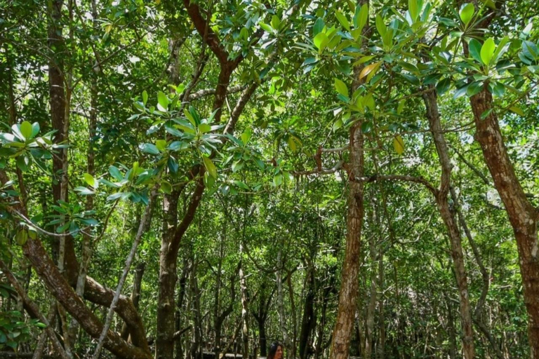 Zanzibar: Jozani Forest, Salaam Cave & The Rock Restaurant Private Premium All Tours: Transfer Anywhere in Zanzibar