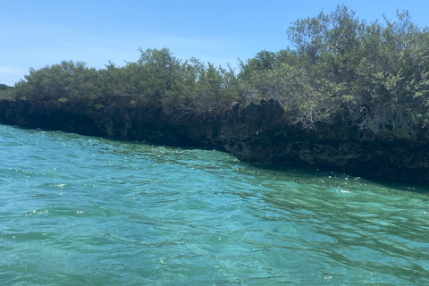 Sansibar: Safari Blue Tagesausflug mit Schnorcheln und Mittagessen