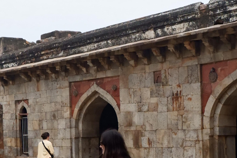 Delhi: Lodhi Garden begeleide verhalenwandeling en optionele zijmissiesLodhi Gardens Heritage Walk &amp; Art Walk at Lodhi Art District