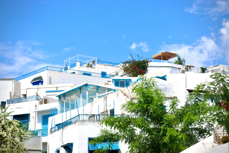 Tunis: Medina, Carthage, & Sidi Bou Said Private Tour Pick-up From: Sousse, or Monastir
