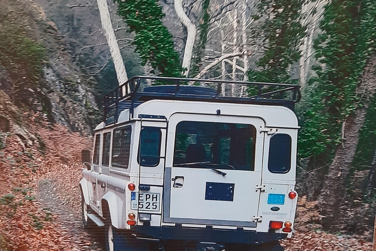 Pafos Cypr Jeep Safari Akamas i punkt widokowy Błękitna LagunaJEEP SAFARI AKAMAS I REJS DO BŁĘKITNEJ LAGUNY