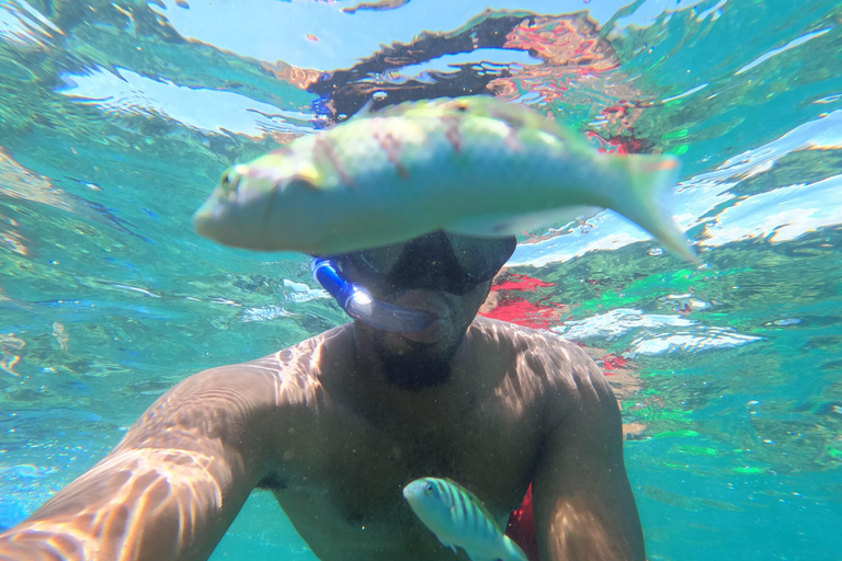Sansibar: Blaue Lagune, Seesterne, Paje Strand und Maalum HöhleSansibar: Blaue Lagune, Seesterne, Jambiani und Maalum-Höhle