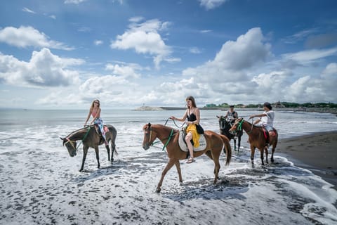 Gianyar: Bali Horse Riding at the Beach