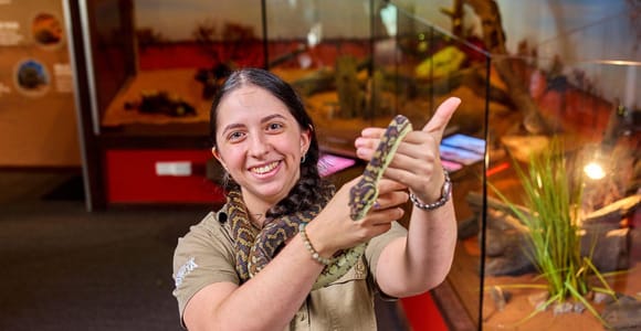 Cairns City: Cairns Koala & Creatures + City Sights Tour