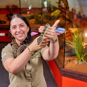 Cairns City: Cairns Koala & Creatures + City Sights Tour