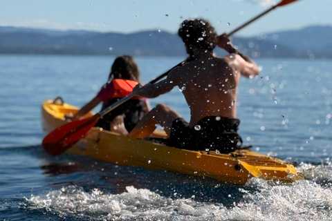 Golfo Aranci: transparent or traditional kayak, dolphins, and aperitif Sunset Tour in a Traditional Kayak with Aperitivo and Dolphins