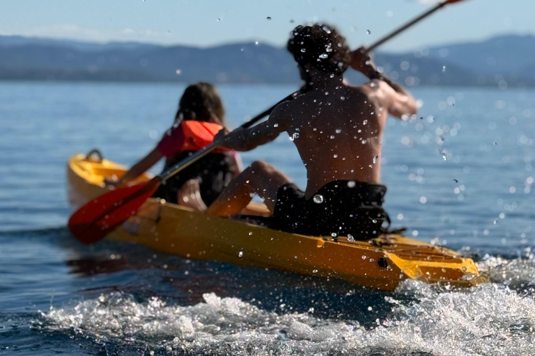 Golfo Aranci: transparent or traditional kayak, dolphins, and aperitif Sunset Tour in a Traditional Kayak with Aperitivo and Dolphins