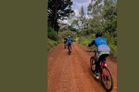 Nairobi: Karura Forest Bike Rental and Waterfall Walk