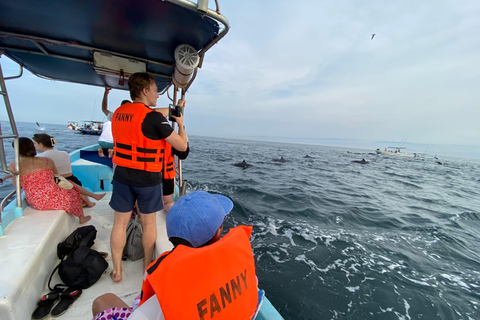 Puerto Escondido: Bootstour zu Delfinen und MeerestierenPrivate Tour