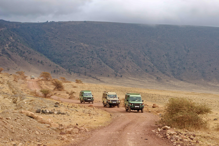 Wildlife Wonders: A 3-Day Safari to and from Arusha.