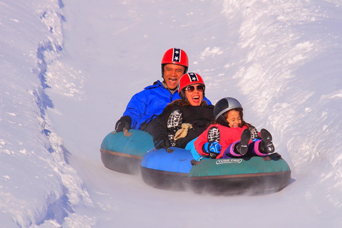 Full day Park Farellones with ticket