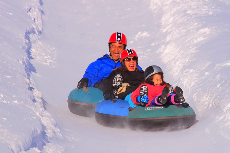 Full day Park Farellones with ticket