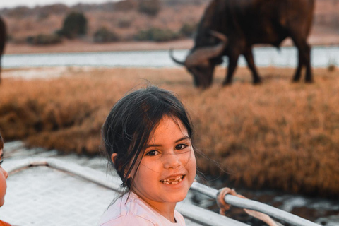 Chobe River Private 3 Hour Boat Safari