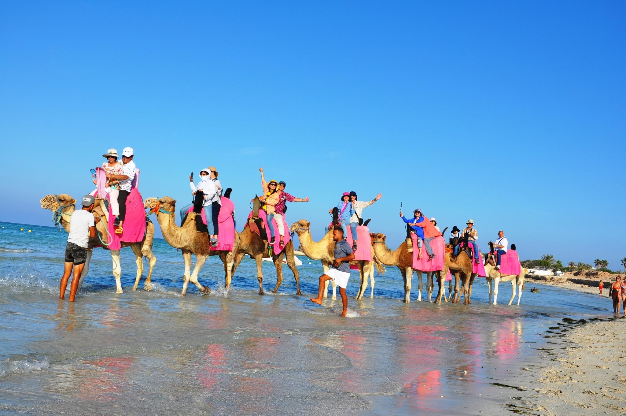 Djerba: 2,5-stündiger Kamel- und Ausritt an der Blauen Lagune