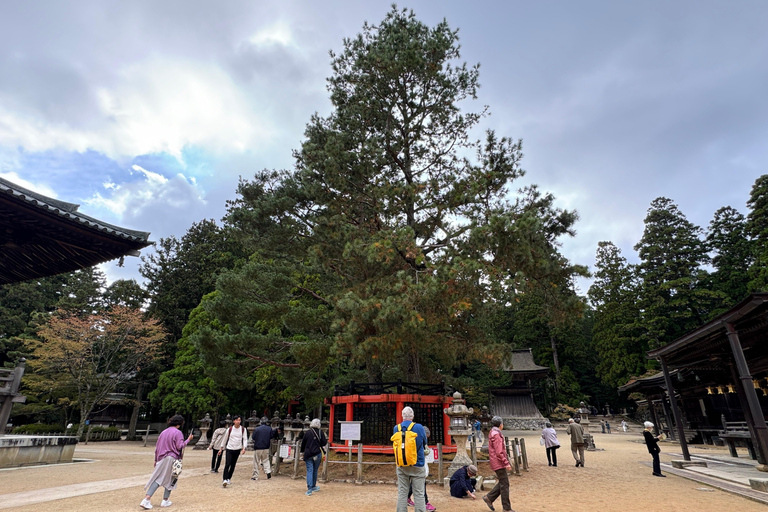 Z Osaki: prywatna wycieczka 1-dniowa z przewodnikiem do Koyasan (miejsce wpisane na listę UNESCO)