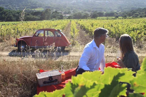 Saint-Tropez: Tour del vino in auto d'epoca