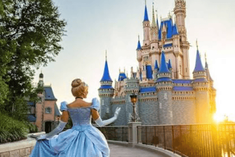 From Tokyo: Tokyo Disneyland Private Customized Tour