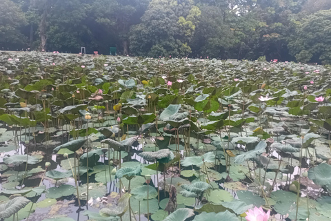 Bogor Botanical Garden and Domas Megalithic Site Tour