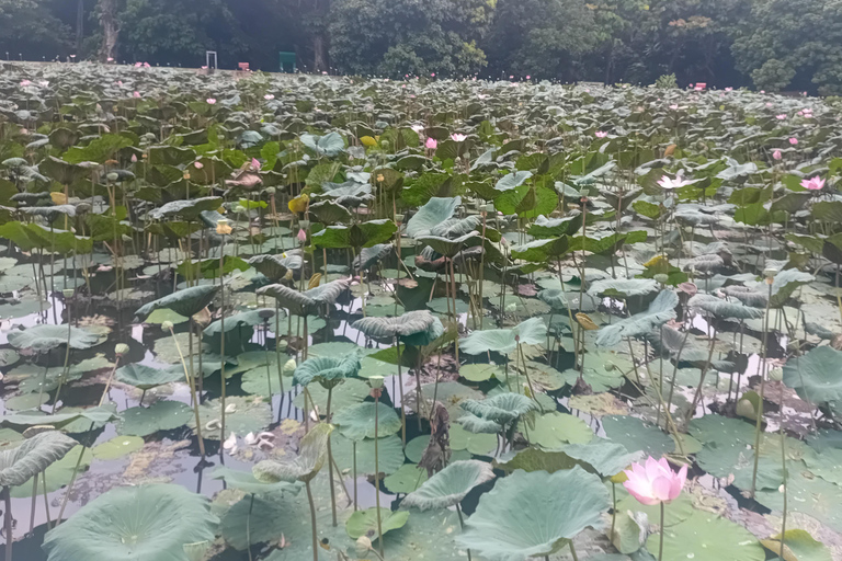 Bogor Botanical Garden and Domas Megalithic Site Tour