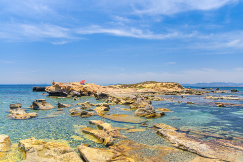 From Albir & Benidorm: Tabarca Island Day Trip From Benidorm: Gran Bali hotel