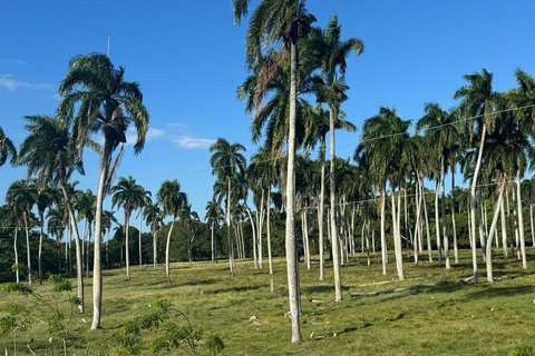Puerto Plata Countryside & Village Panoramic Tour