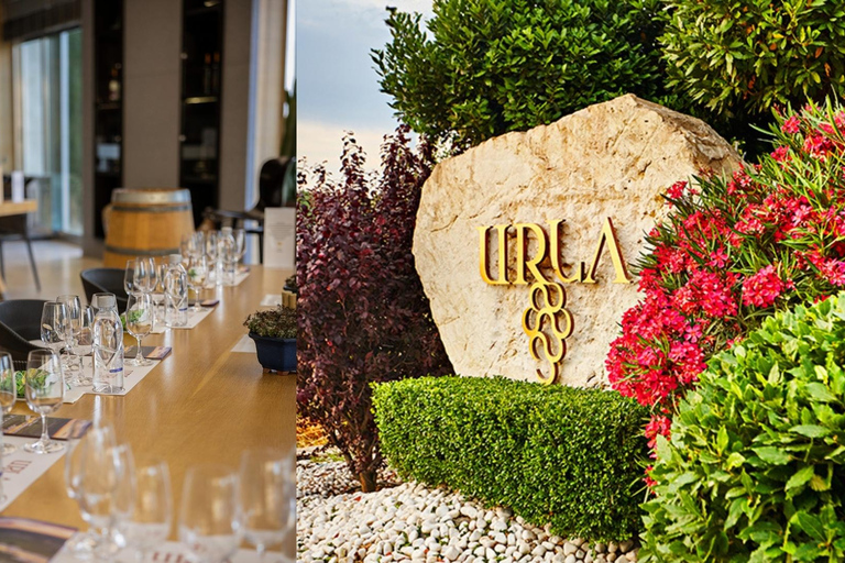 Izmir: Urla Wine Tasting and Vineyard Tour Self Arrival Tasting and Vineyard Tour