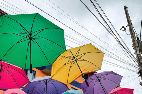 瓜塔佩豪华之旅，豪华游船和从麦德林出发的免费交通