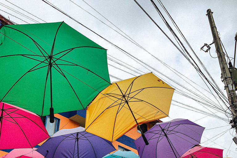 瓜塔佩豪华之旅，豪华游船和从麦德林出发的免费交通