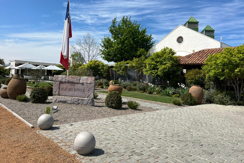 Culture and wine in 3 days: Valparaíso, Viña del Mar, and the Casablanca Valley