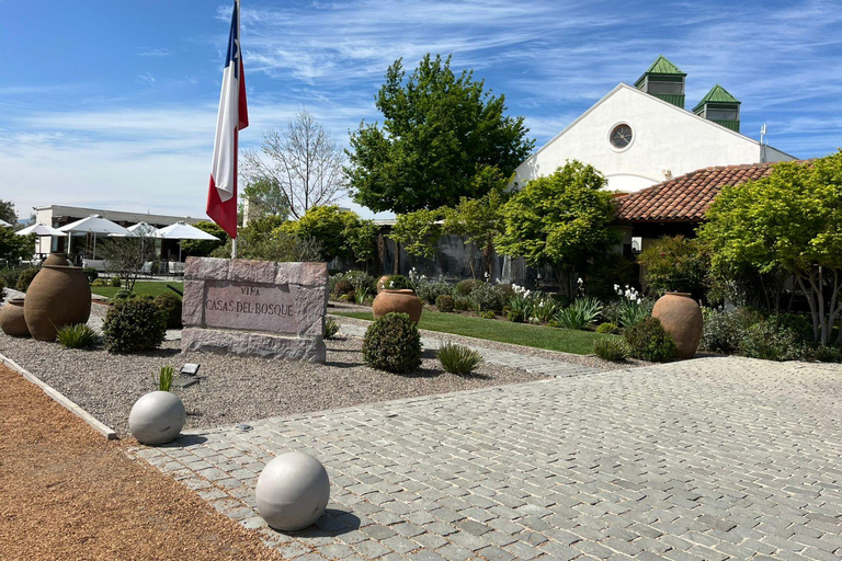 Culture and wine in 3 days: Valparaíso, Viña del Mar, and the Casablanca Valley