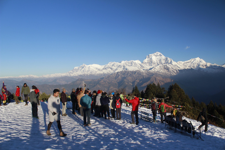 Découvrez la magie de Poon Hill : Un trek de 4 jours au départ de Pokhara