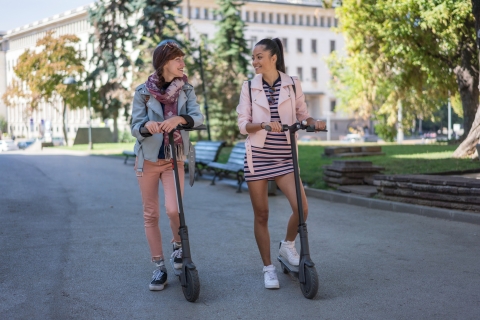 Berlin: visite guidée en scooter électrique Top Sights